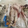  Balochistan: Three tortured dead bodies found in Turbat