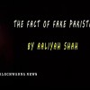 The fact of fake Pakistan
