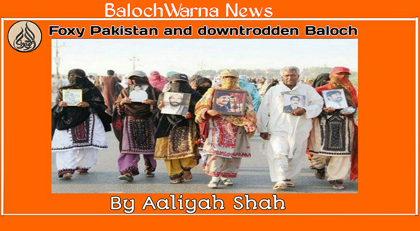  Foxy Pakistan and downtrodden Baloch