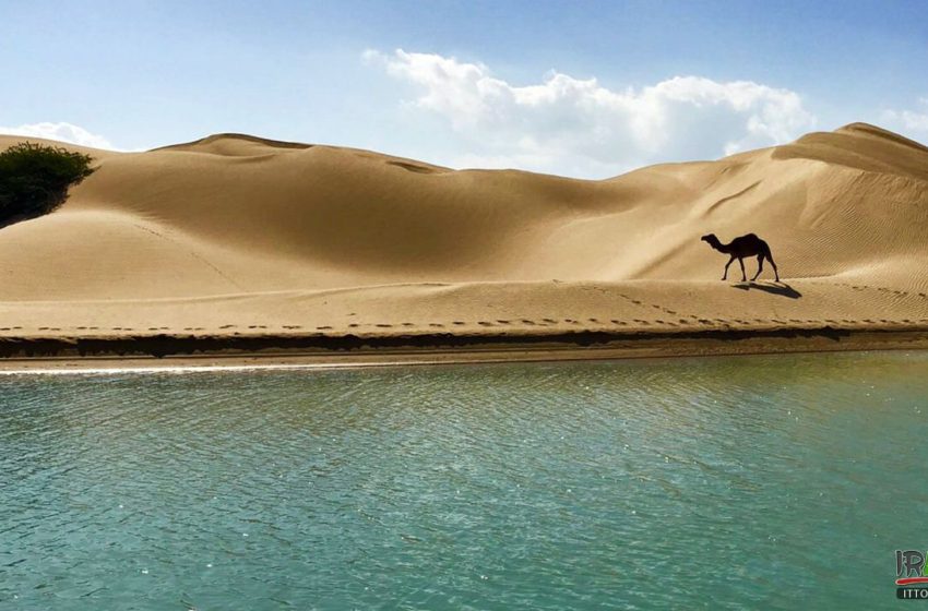  Balochistan National Heritage: Darak, where the desert meets the sea