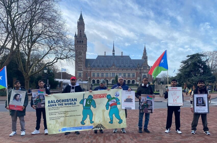  FBM Stages Human Rights Day Protest Outside International Court of Justice